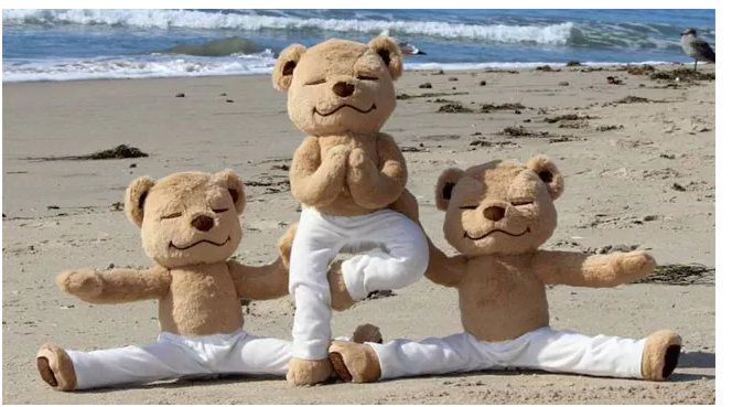 Meddy Teddy Is the Most Adorable Way to Teach Your Kids Yoga
