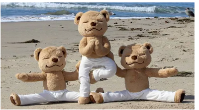 Meddy Teddy Is the Most Adorable Way to Teach Your Kids Yoga