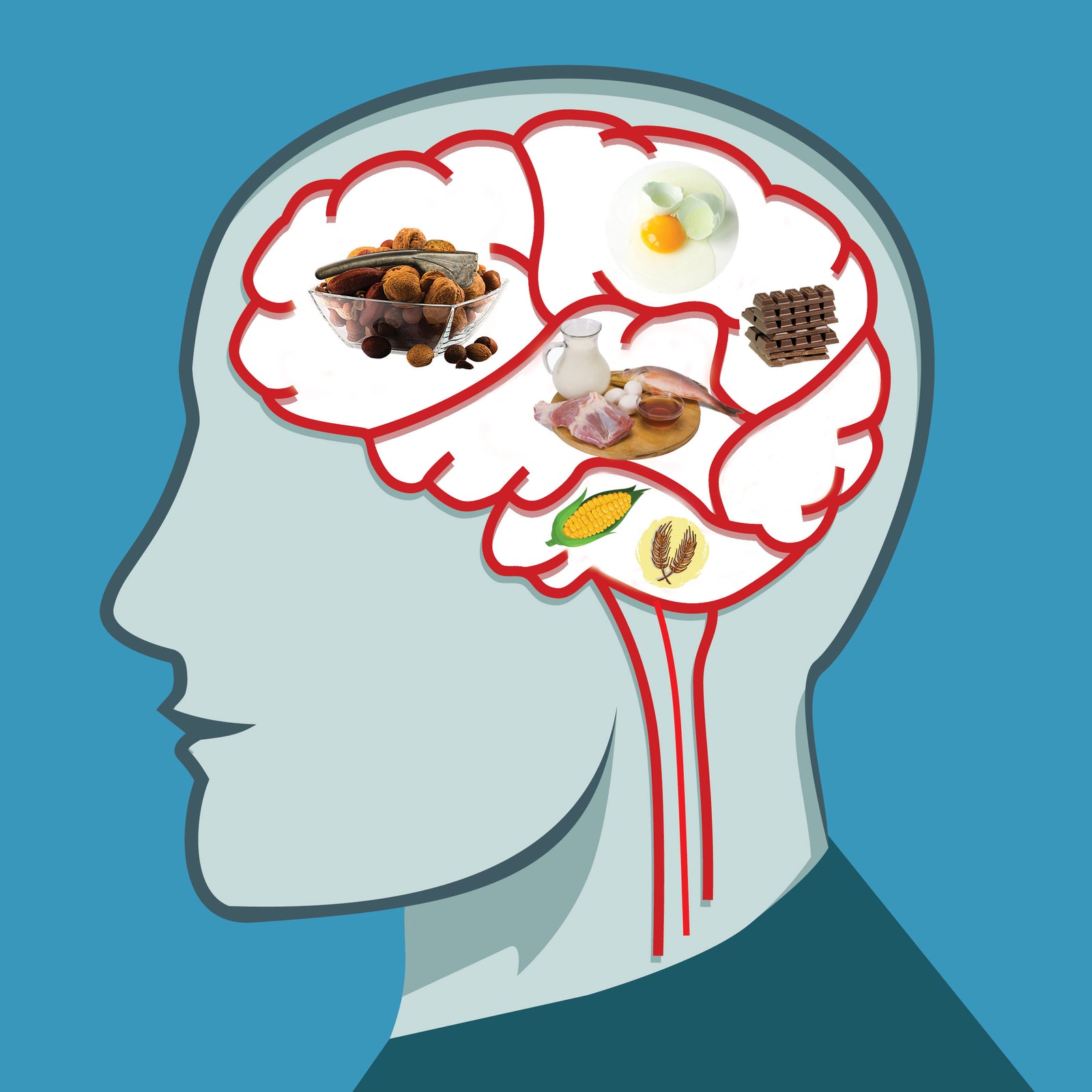 5 Brain Foods that will Help Your Child Study, Focus and  Concentrate Better