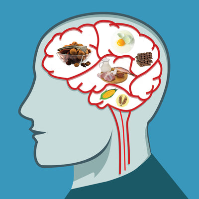 5 Brain Foods that will Help Your Child Study, Focus and  Concentrate Better
