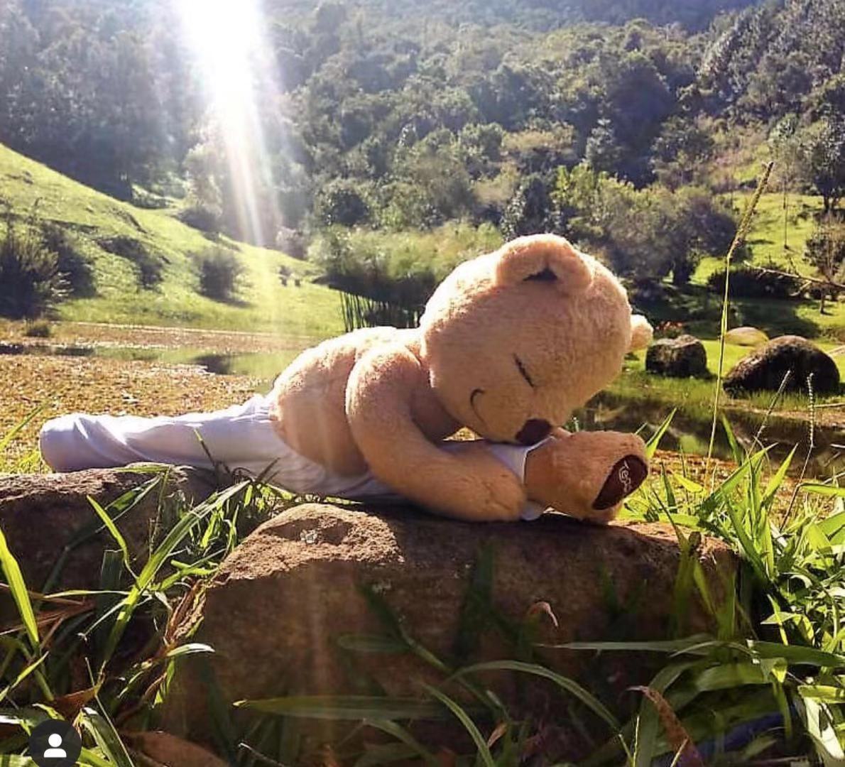 nature meditation