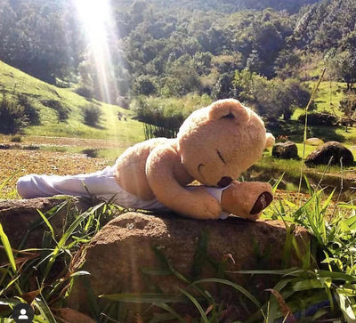 Meddy Teddy Nature Meditation