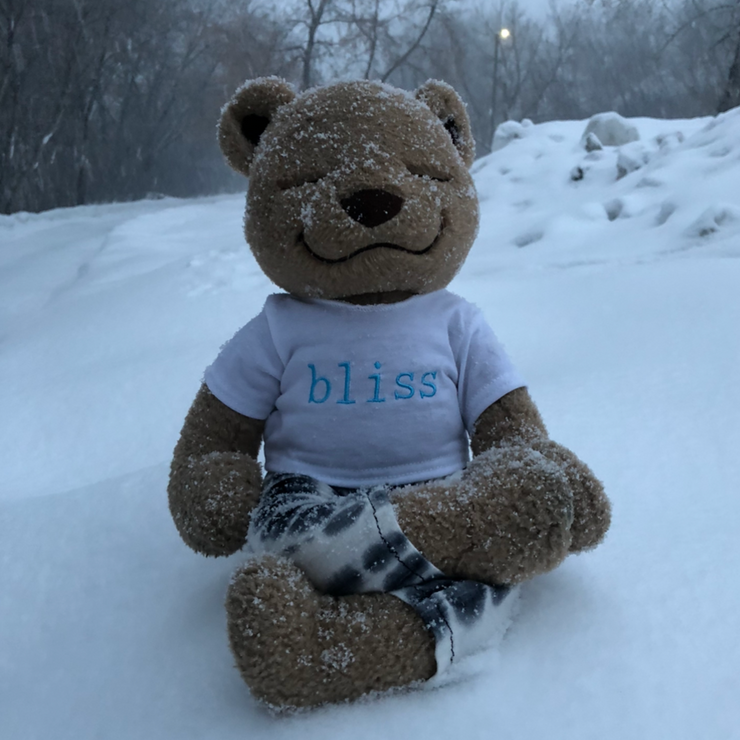 bliss T-shirt for Meddy Teddy