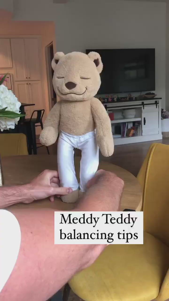Meddy Teddy
