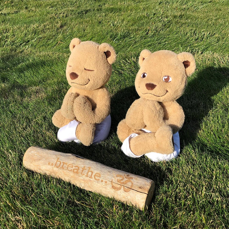 Meddy Teddy Bundle