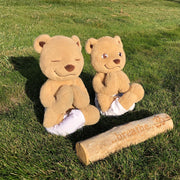 Meddy Teddy Bundle