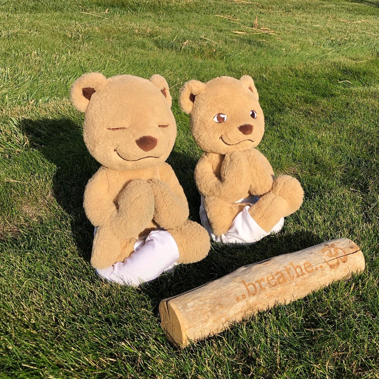 Meddy Teddy Bundle