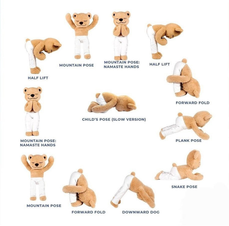 A yoga sequence flow performed by Meddy Teddy

• Mountain Pose (Arms extended overhead)
• Mountain Pose: Namaste Hands (Hands pressed together at the chest)
• Half Lift (Flat back, bending halfway at the hips)
• Forward Fold (Hanging forward, head toward knees)
• Plank Pose (Core-engaged straight body line)
• Snake Pose (Chest lifted off the ground, a variation of Cobra pose)
• Downward Dog (Inverted "V" shape with hips high)
• Child's Pose (Slow Version) (Resting posture positioned in the center)