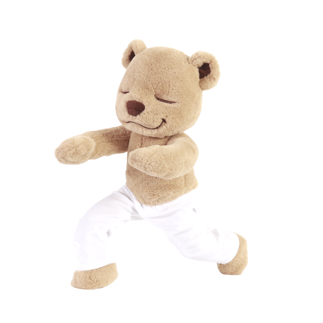 meddy teddy yoga teddy bear