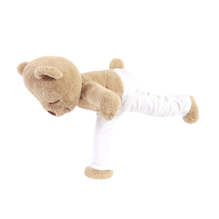 meddy teddy yoga teddy bear