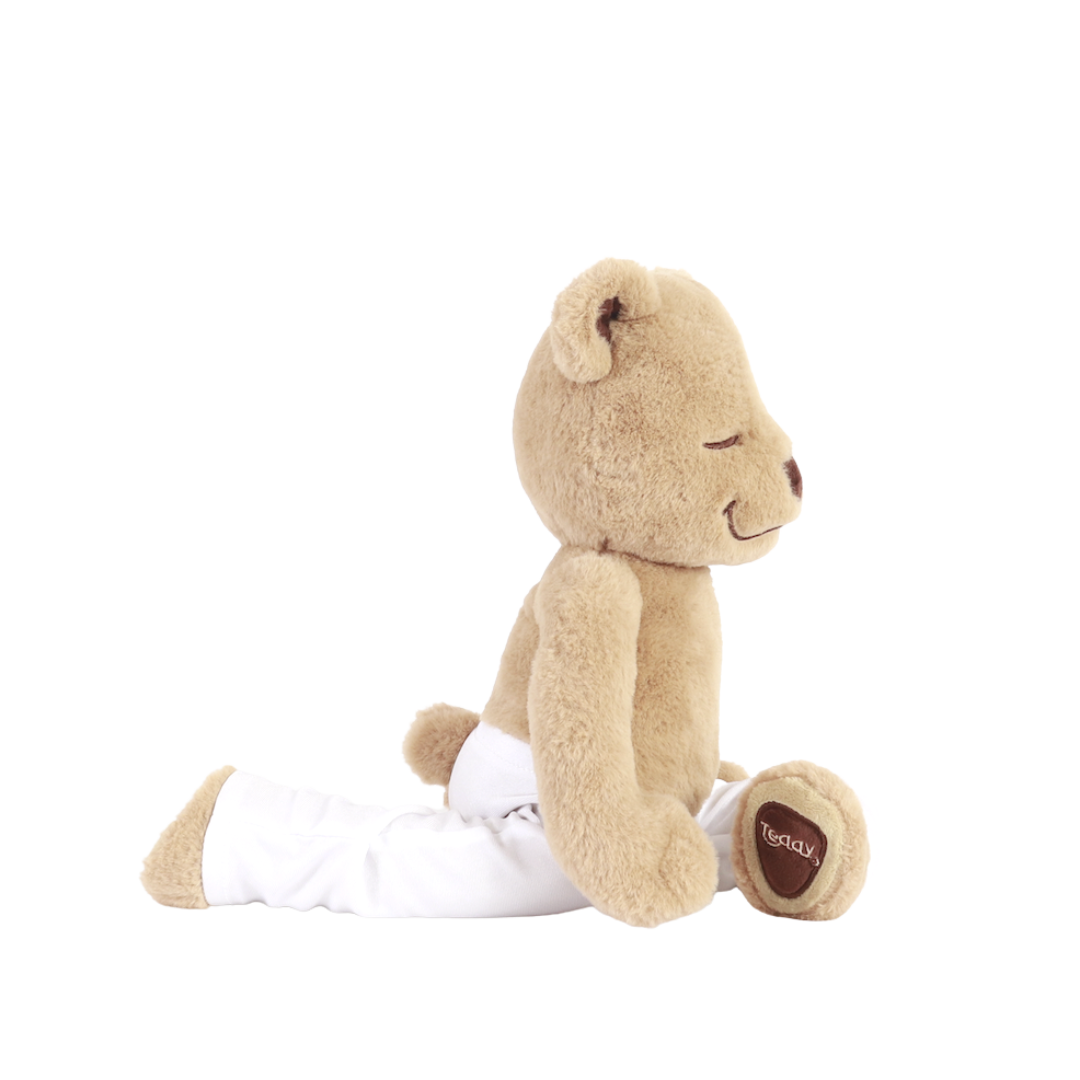 meddy teddy yoga teddy bear