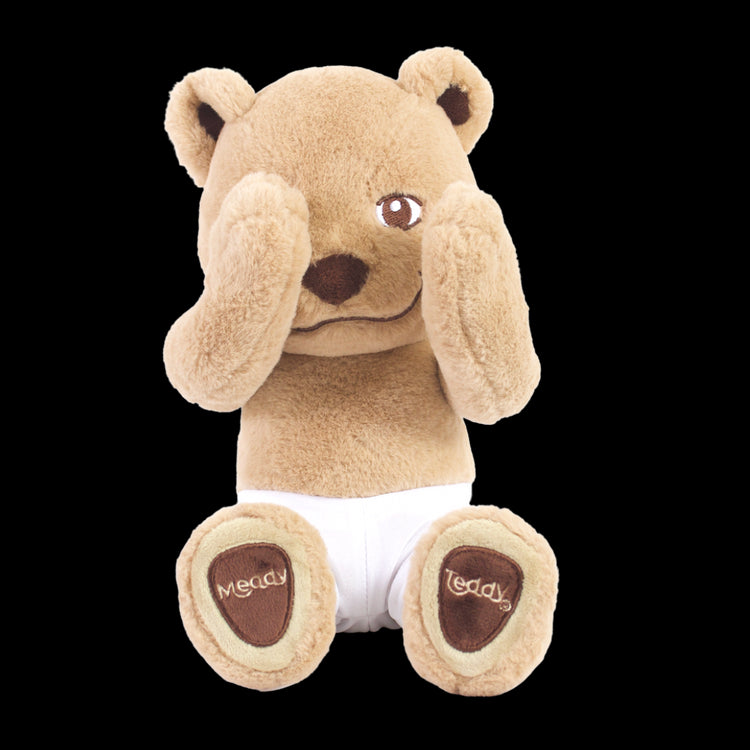 MeddyTeddyEyesOpen_3_750x.png.