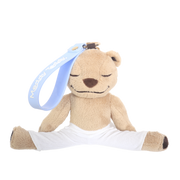 Meddy Teddy Keychain only 30 left