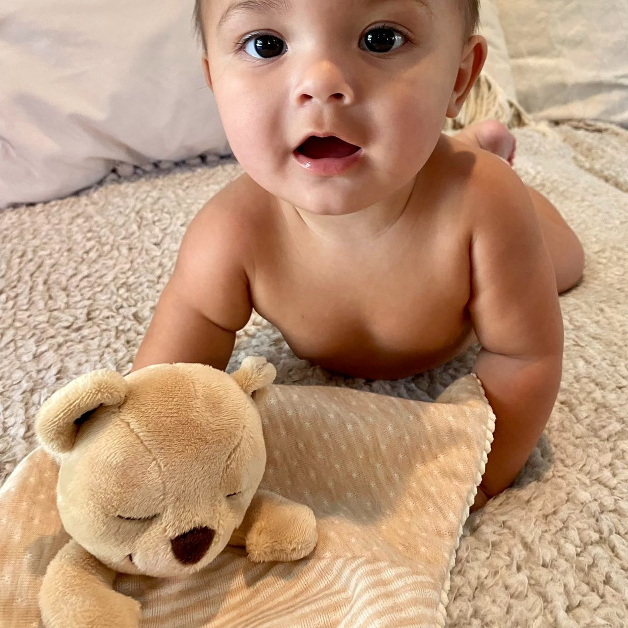 Meddy Teddy Lovie