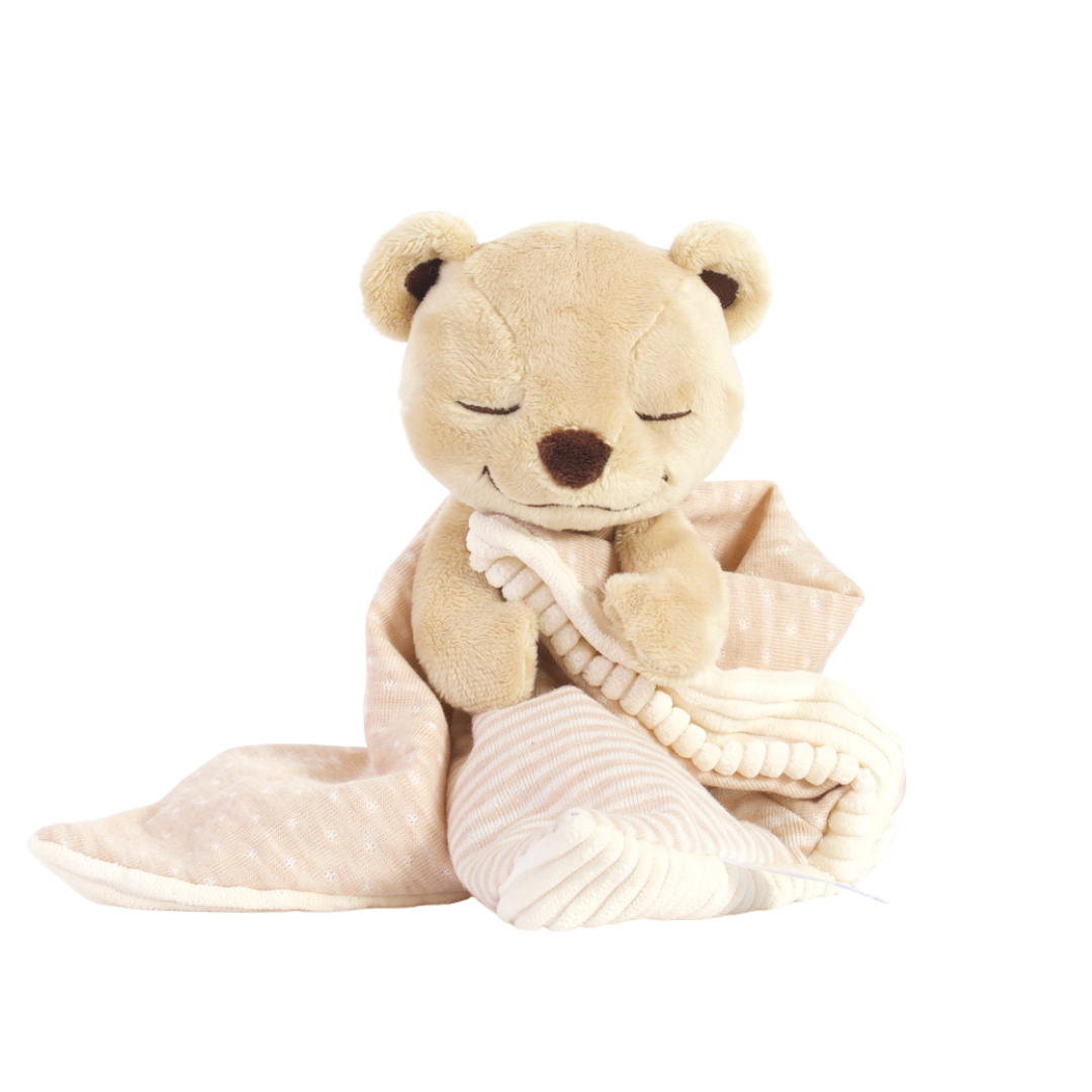 Meddy Teddy Lovie