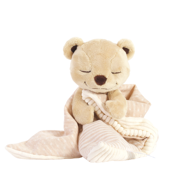 MeddyTeddyLovie_740x.png?v=