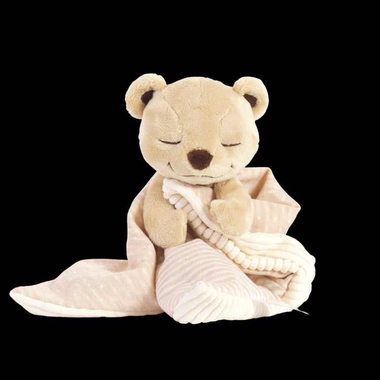 MeddyTeddyLovie_750x.png.jpg?v