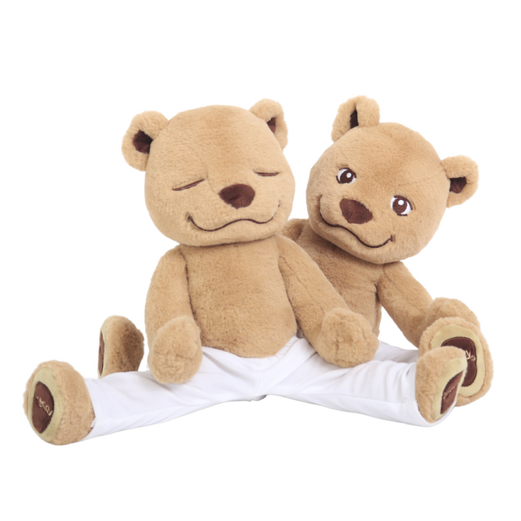 Meddy Teddy Bundle