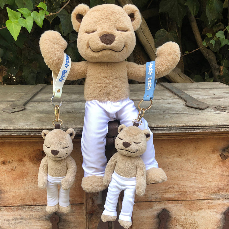 Meddy Teddy Keychain only 30 left